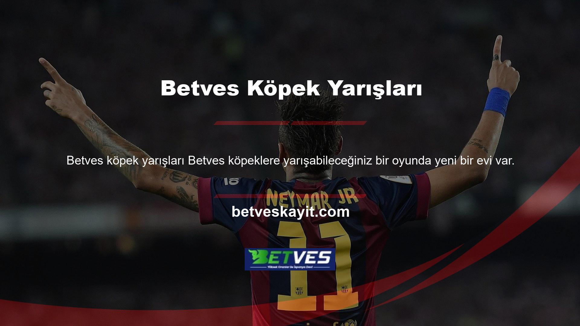 5 yarışın tamamını kaybeden ve genellikle en son gelen köpeklerin 1o veya daha fazla yarış kazanma olasılığı daha düşüktür